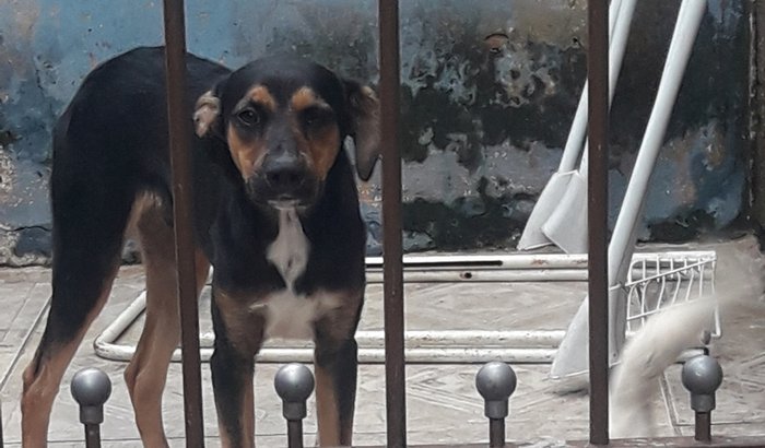 Um Amigão precisa de ajuda