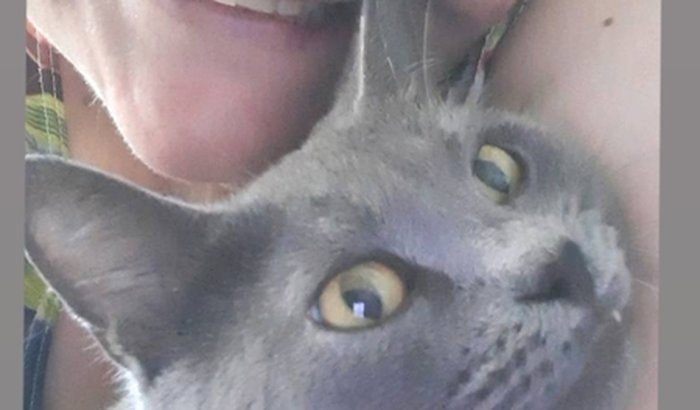 Ajuda para minha gatinha  