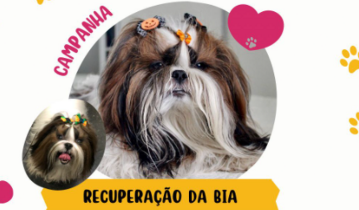 Recuperação da Bia