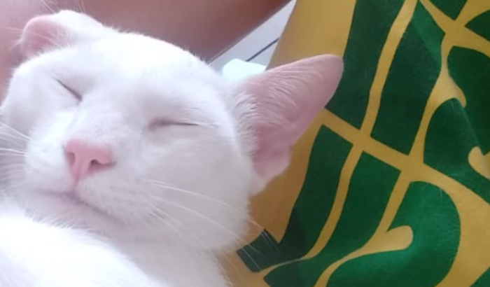Vaquinha para o tratamento do mingau