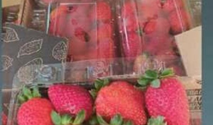 Viaja volta ao mundo 