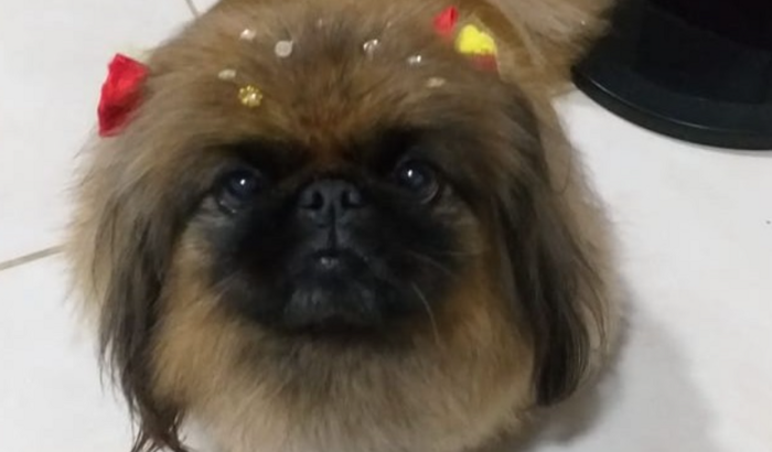 Ajude a Meggy a vencer um câncer na boca