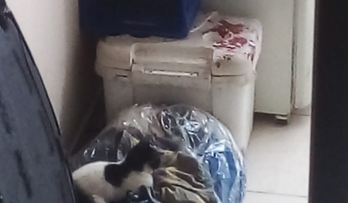 Ajude a rapariga