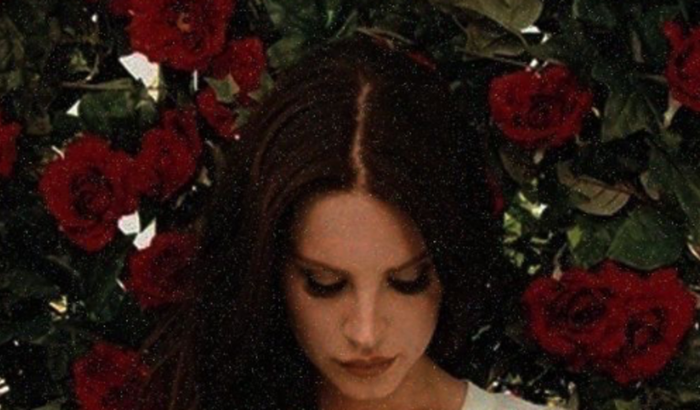 Me Ajude a Ir no Show da Lana Del Rey