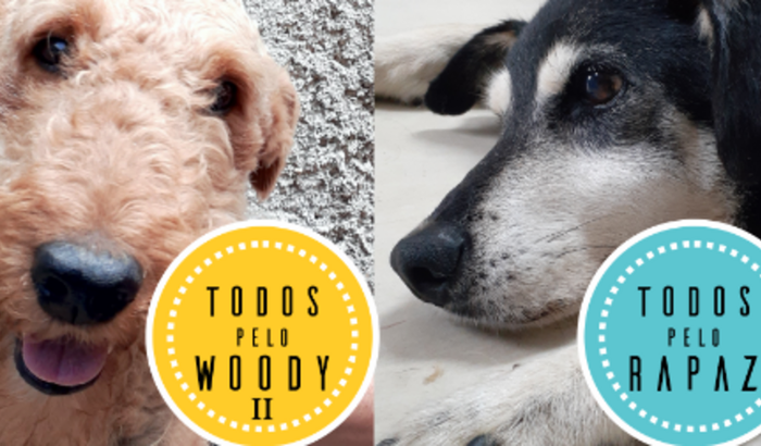TODOS PELO WOODY E RAPAZ