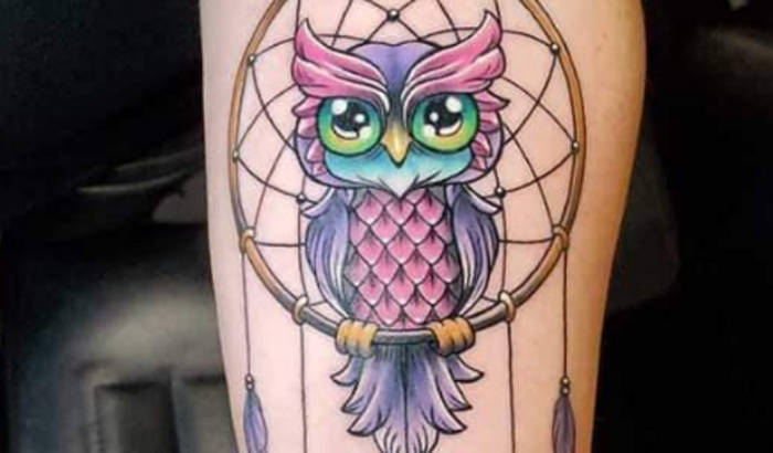 Meu sonho meu projeto