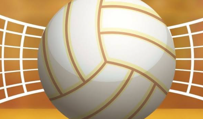 Material Vôlei