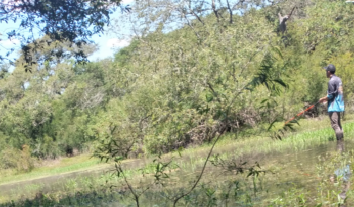 Meu sonho pra pescar