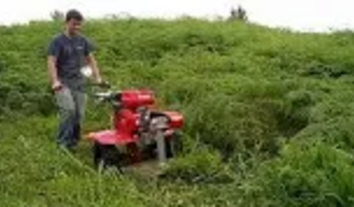 TRATORZINHO PARA SOREBA