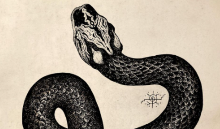 Fui assaltada e preciso de ajuda