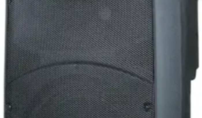 Preciso de comprar uma caixa de som amplificada para poder trabalhar