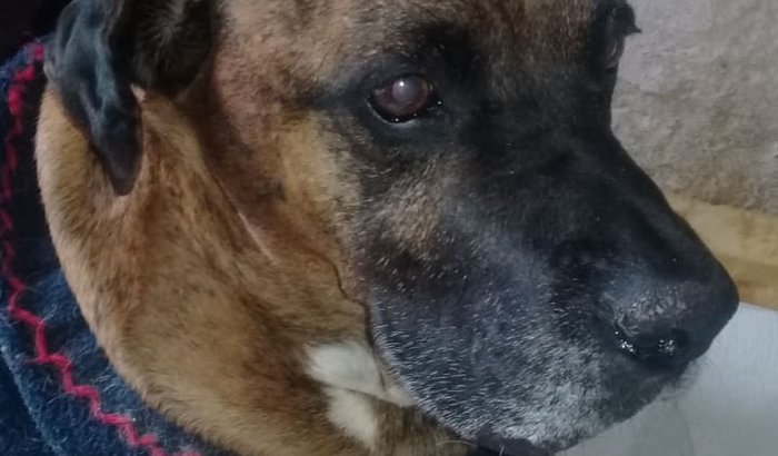 Todos pelo Spike