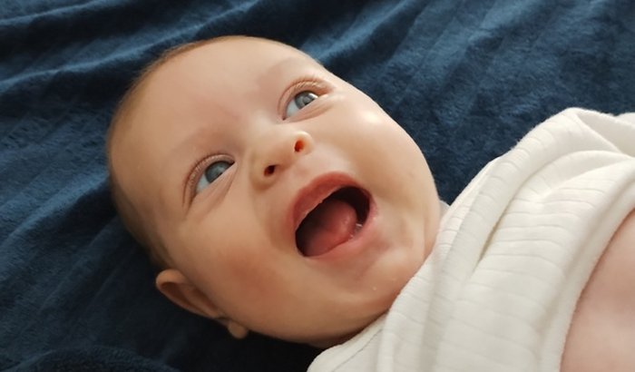 Ajuda para Sophia conhecer a Vovó 