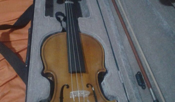 Violino