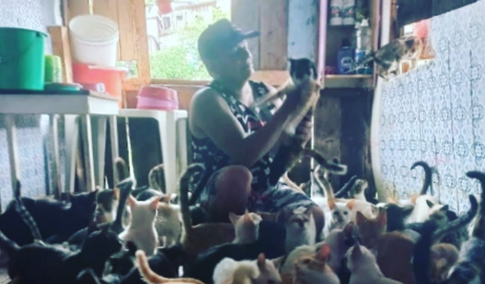 Ajudar o abrigo anjo miau dog. com ração e remédio
