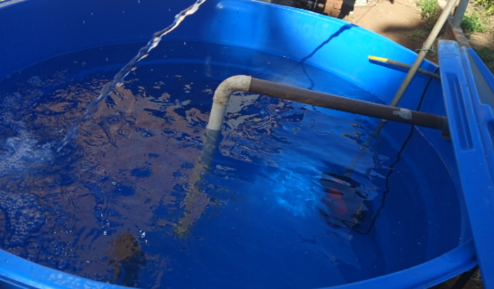 TENHU um sonho de construir huma criação de peixe em tanques elevados