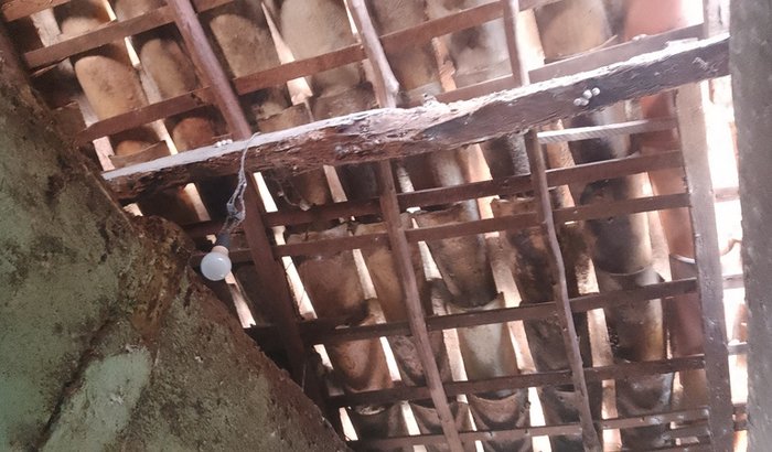 Ajudar a comprar forno pra pizza