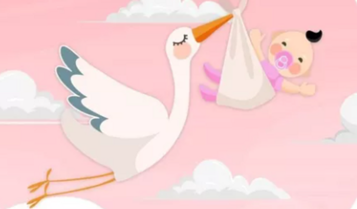 Chá de Bebê da Artemis