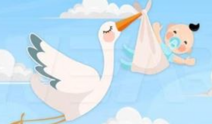 Chá de Bebê do Levi