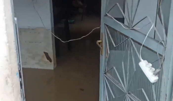 Pichu perdeu tudo!