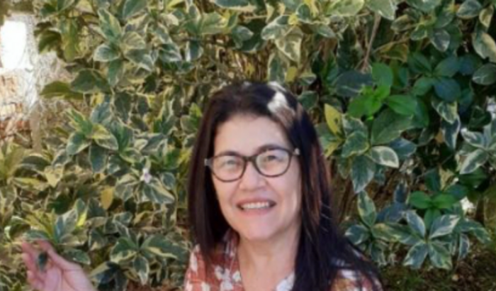 De volta para minha terra