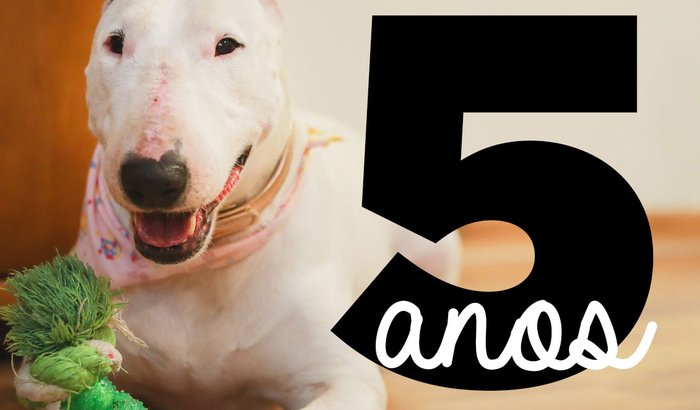 Presente de aniversário