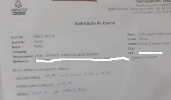 ajuda para pagar os exames da minha doginha