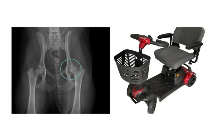 Por favor me ajudem a comprar uma cadeira motorizada 