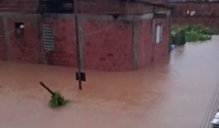 Ajude a Lobo Guará em Camburi! 90% da comunidade perdeu tudo.