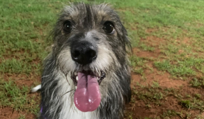 Open House - Cristalândia