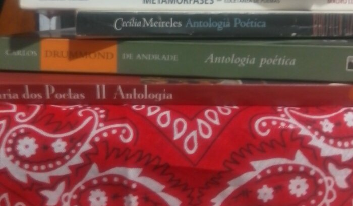 Livro: Quietude e Inquietudes, de Nelson Stoppa Junior