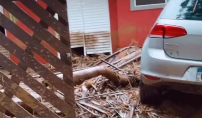 Ajude a Tali a reconstruir sua casa!