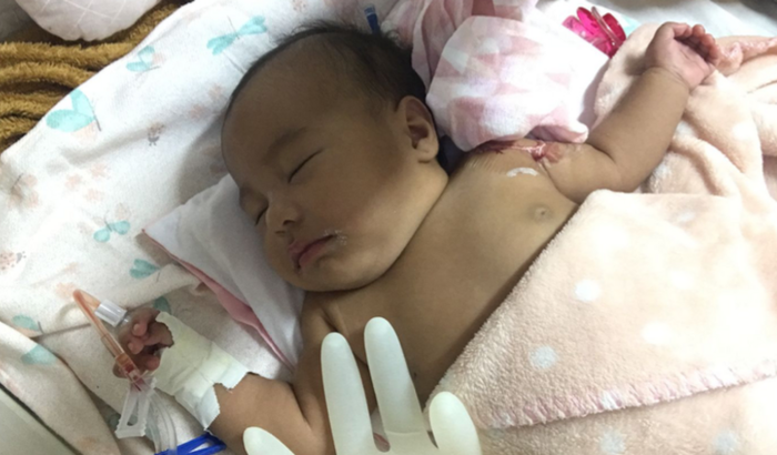 Todos por Maria Cecília