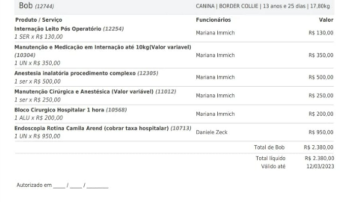 CIRURGIA BOB