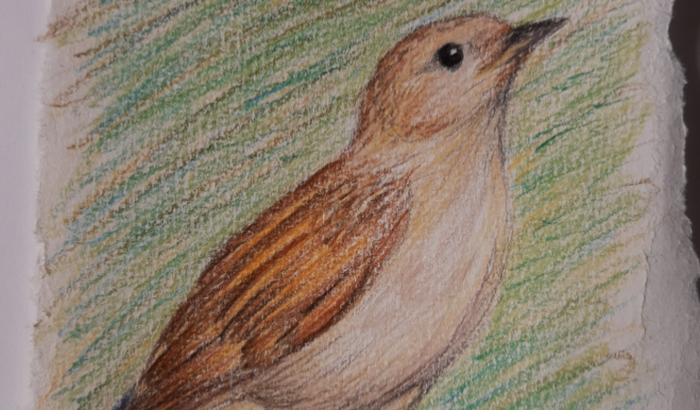 Aparelho novo para trabalho