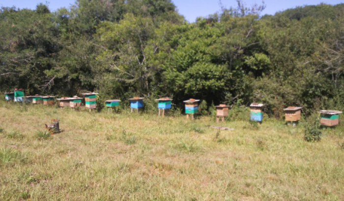 Ajuda para me manter na faculdade