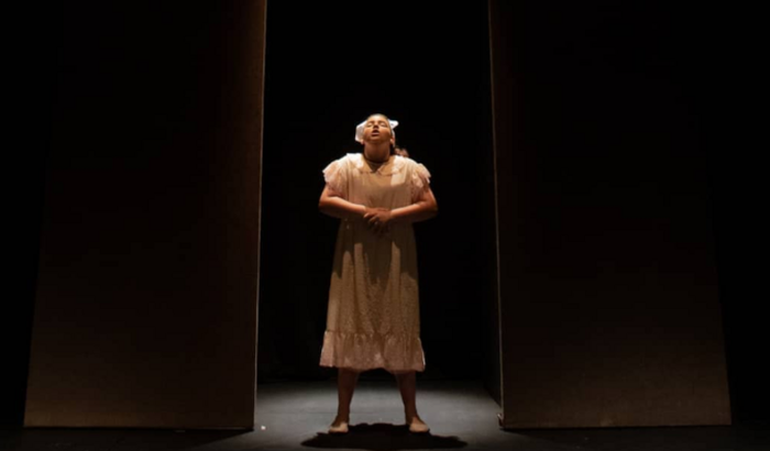 Custos sete gatinhos