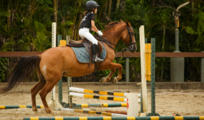 Me ajudem nos Campeonatos