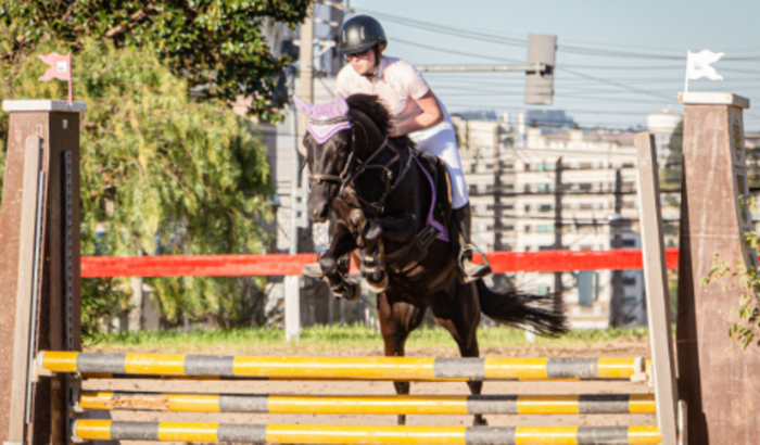 Ajuda para ir ao Festival hípico noturno 