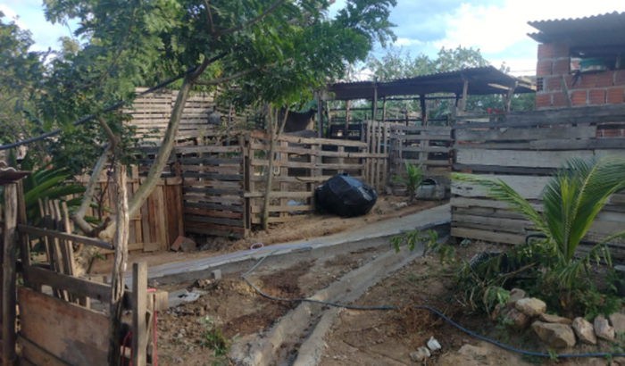 Campanha Construindo o Bem do Abrigo São Francisco de Assis