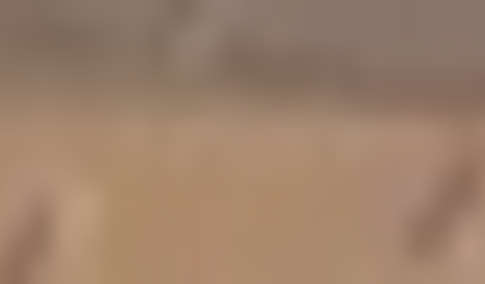 Em busca da saúde, sem ela não somos nada!