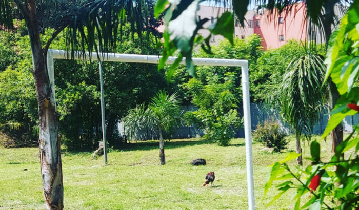 Ajuda para criação de um parque