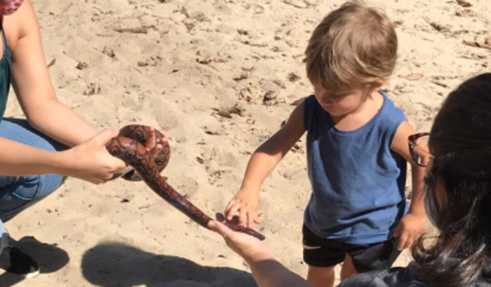 Adote uma serpente ou ajude um humano a se proteger delas.