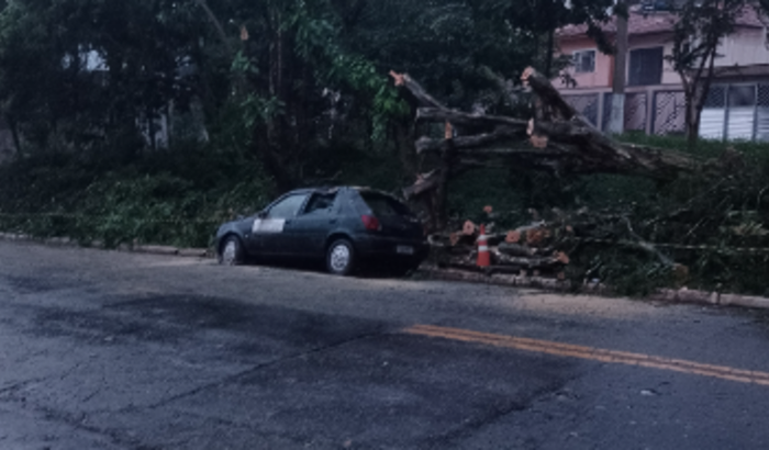 Ajuda para comprar um carro de trabalho .