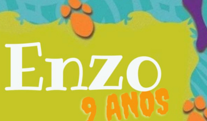 9 anos do Enzo