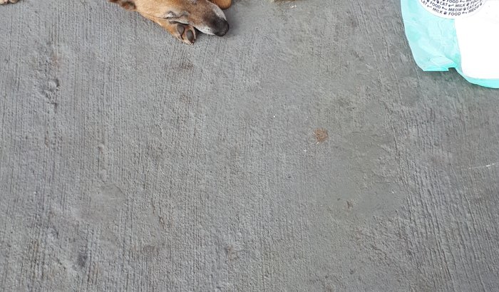 Tratamento do Cido