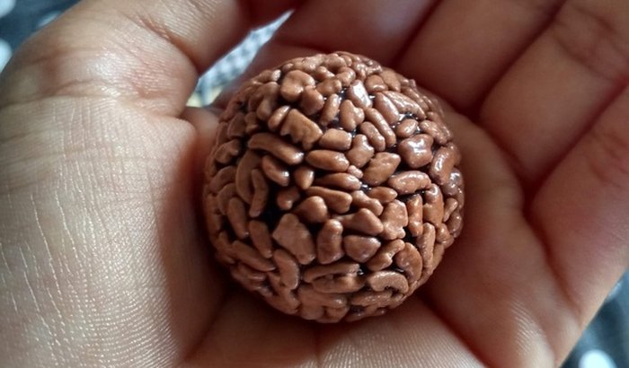 Me ajude a realizar meu sonho de construir a minha cafeteria! ❤