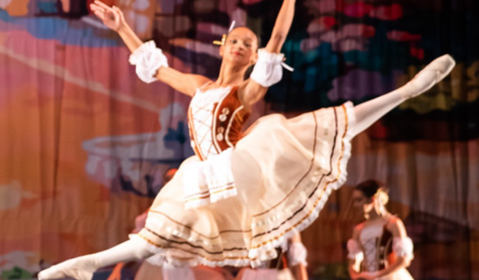 Concursos yasmim 2023