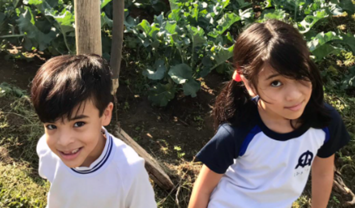 Avaliação Neuropsicológica dos meu 2 filhos autistas