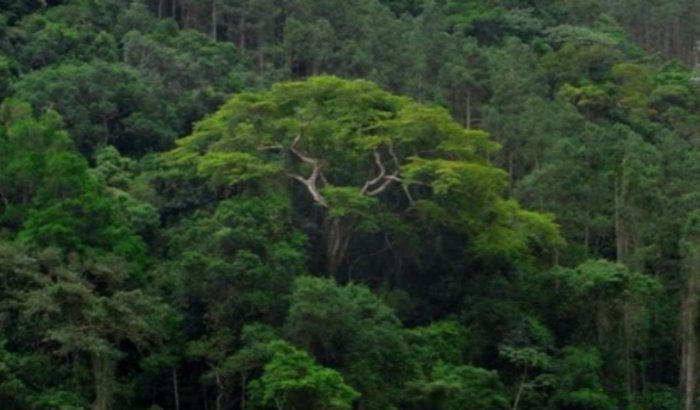 Trabalhar de forma que nao destrua a natureza 